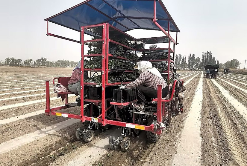 mg冰球突破豪华版2ZB系列蔬菜移栽机